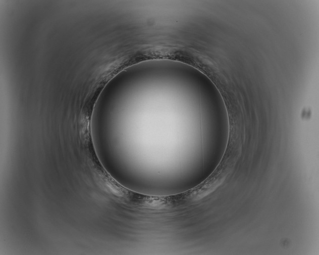X0000097480624200802221353