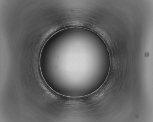 X0000097480625200802221353