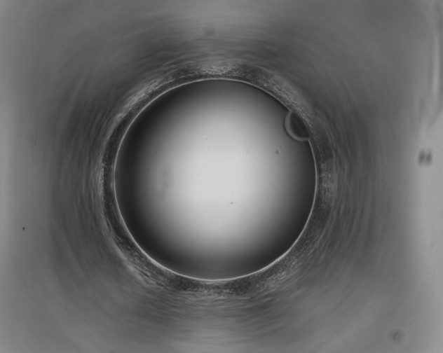 X0000097480626200802221353
