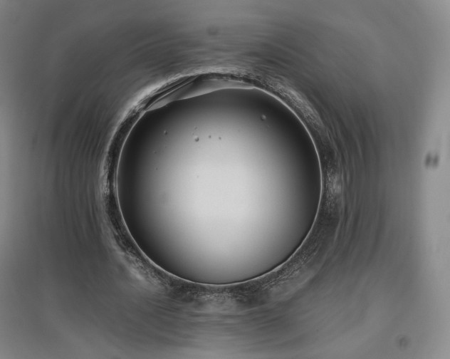 X0000097480628200802221353