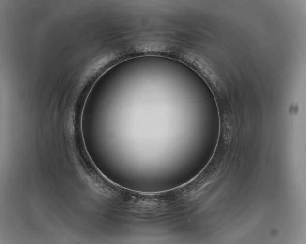 X0000097480631200802221353
