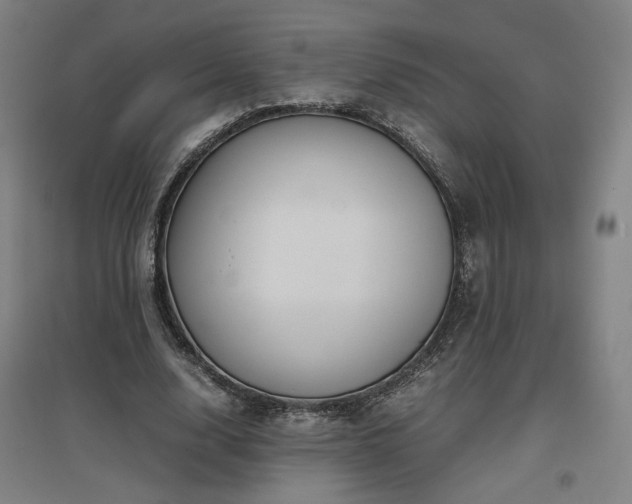 X0000097480632200802221353