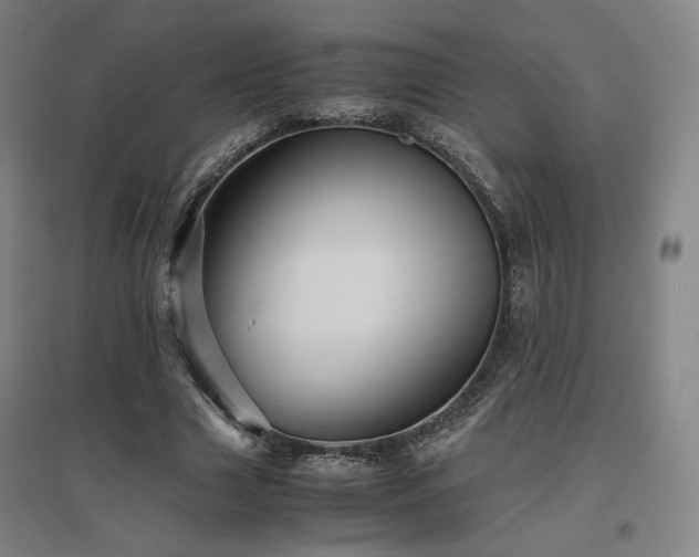 X0000097480633200802221353