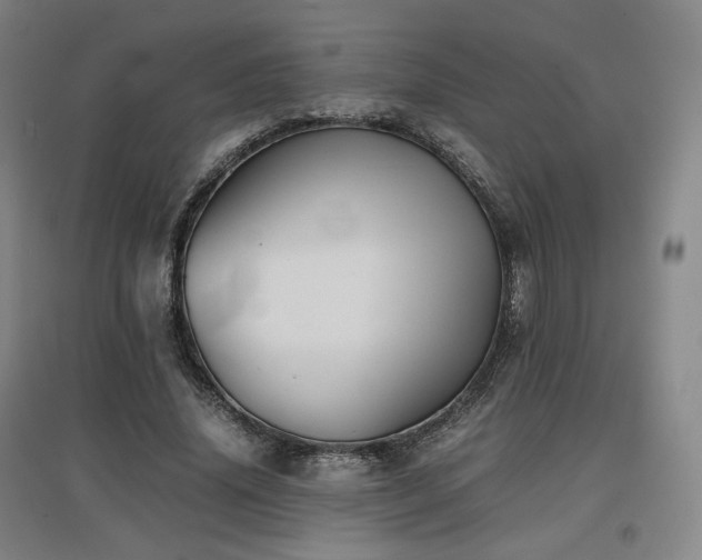 X0000097480636200802221353