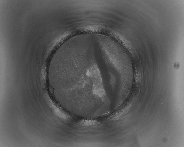 X0000097480637200802221353