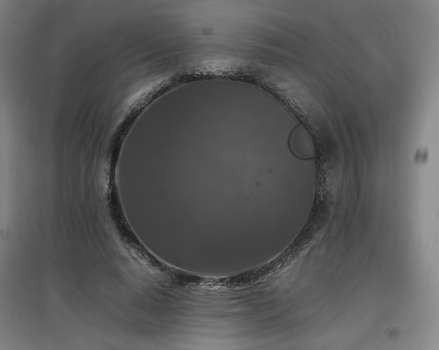 X0000097480640200802221353