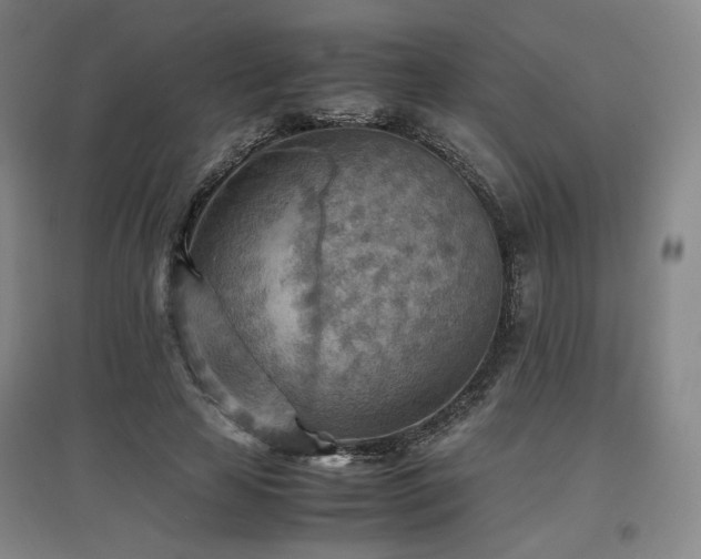X0000097480641200802221353