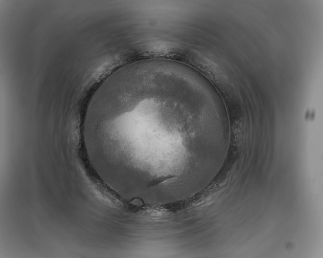 X0000097480642200802221353