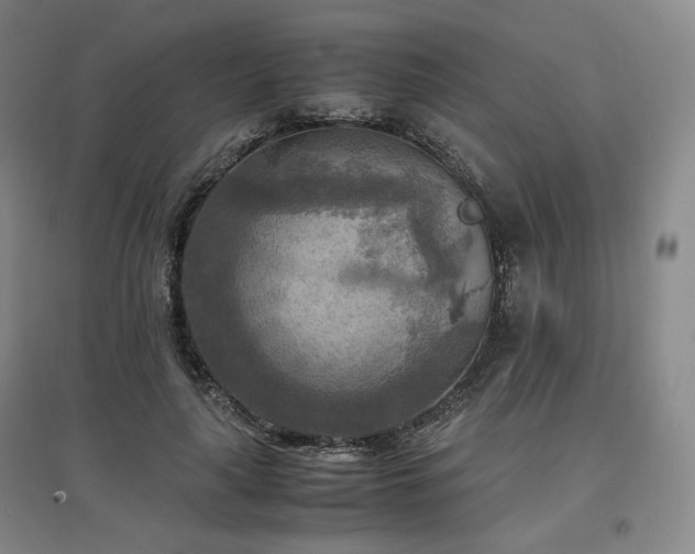 X0000097480643200802221353