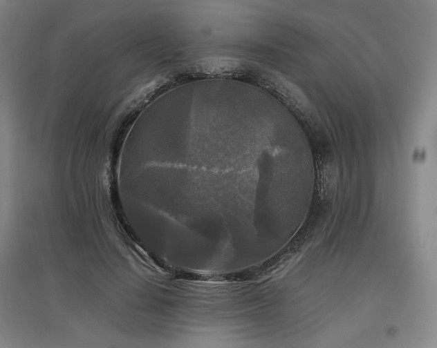 X0000097480644200802221353