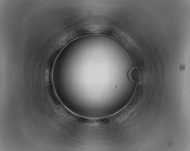 X0000097480646200802221353