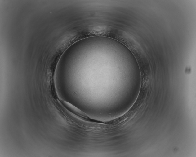 X0000097480647200802221353