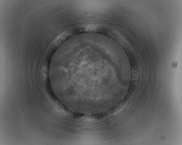X0000097480648200802221353