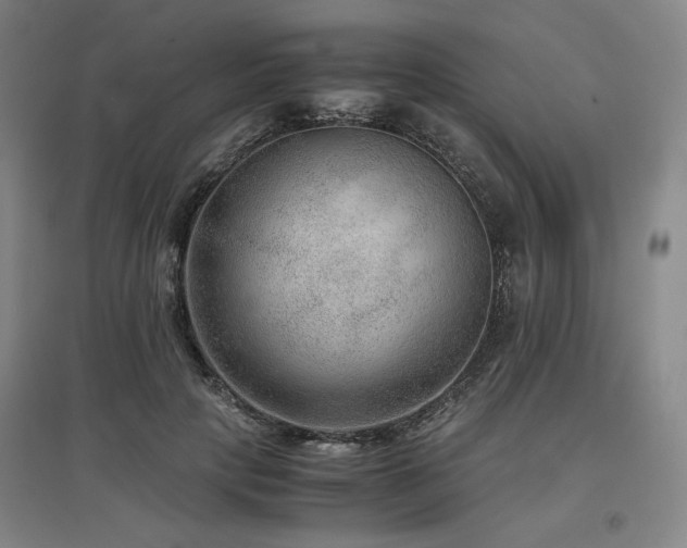 X0000097480649200802221353