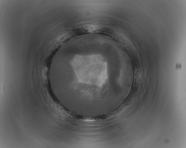 X0000097480650200802221353
