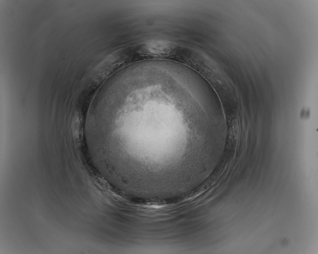 X0000097480651200802221353