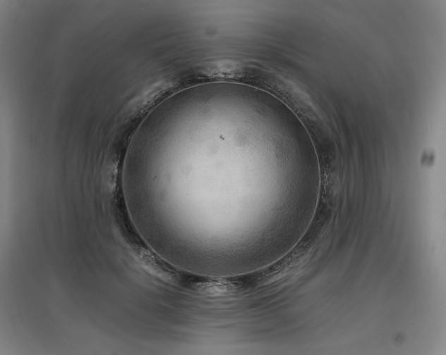 X0000097480652200802221353