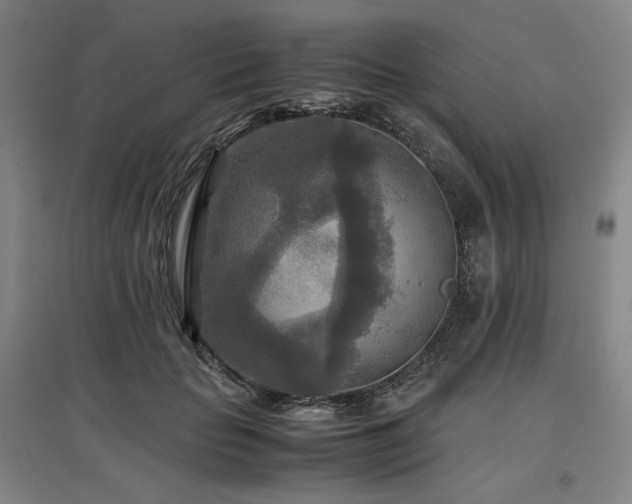 X0000097480653200802221353