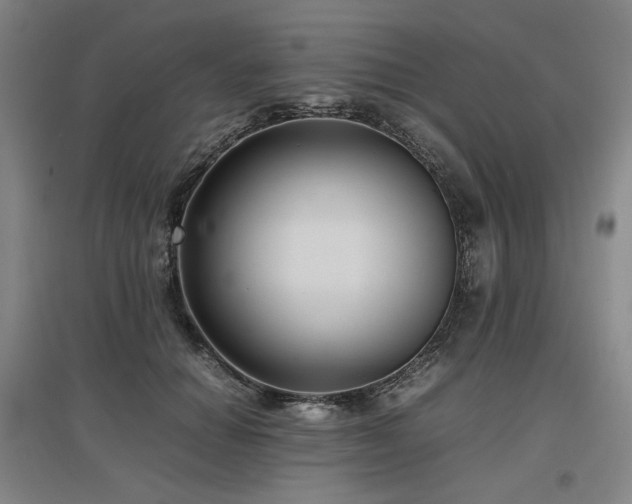 X0000097480654200802221353
