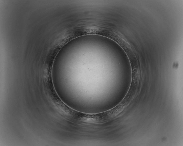 X0000097480655200802221353