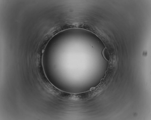 X0000097480656200802221353