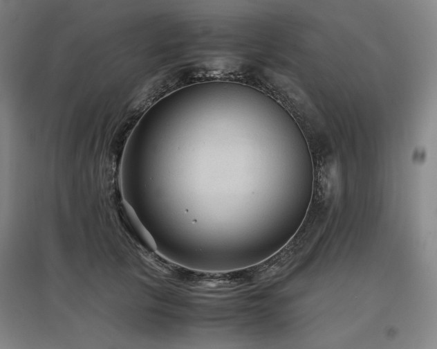 X0000097480657200802221353
