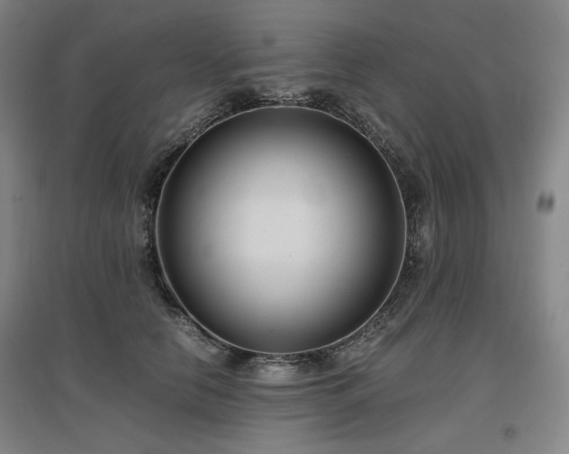 X0000097480658200802221353