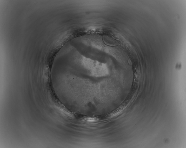 X0000097480659200802221353