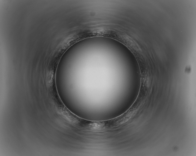 X0000097480660200802221353