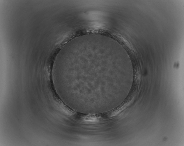 X0000097480661200802221353