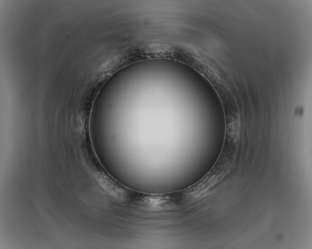 X0000097480662200802221353
