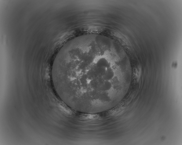 X0000097480663200802221353