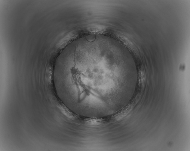 X0000097480664200802221353
