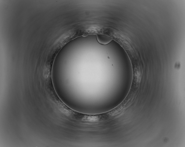 X0000097480665200802221353