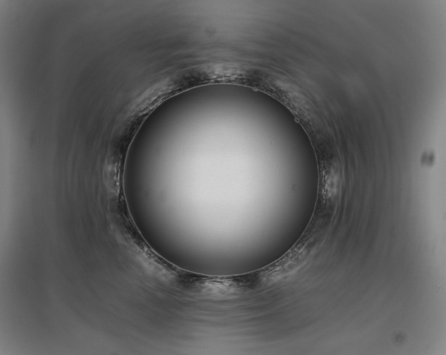 X0000097480666200802221353