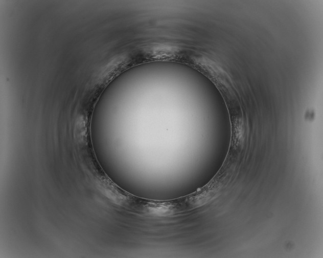 X0000097480667200802221353