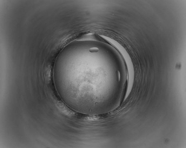 X0000097480668200802221353