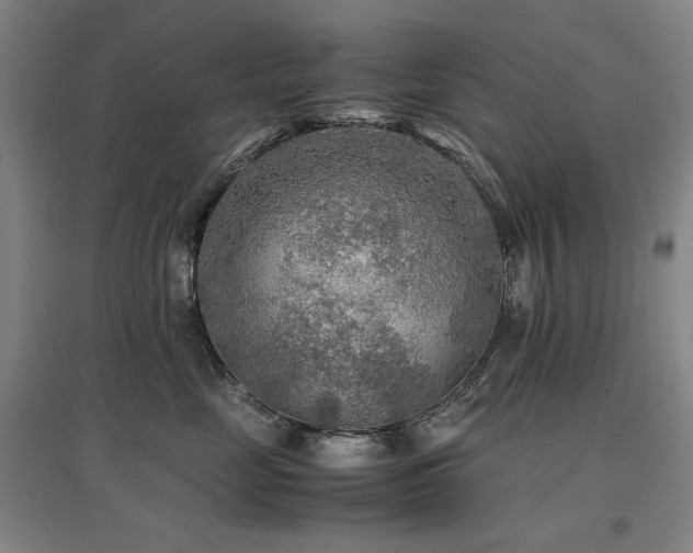 X0000097480669200802221353