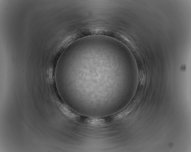 X0000097480670200802221353