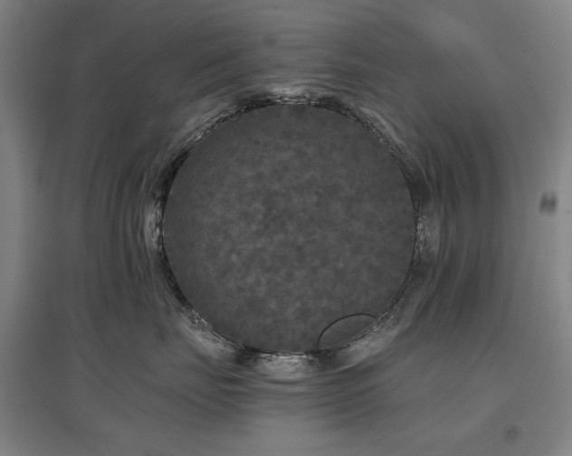 X0000097480671200802221353