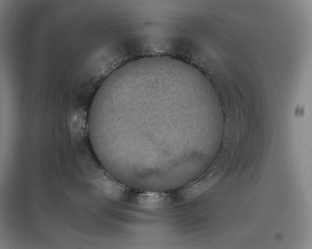X0000097480672200802221353