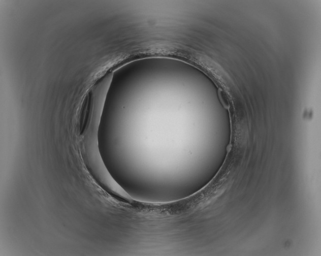 X0000097480673200802221353
