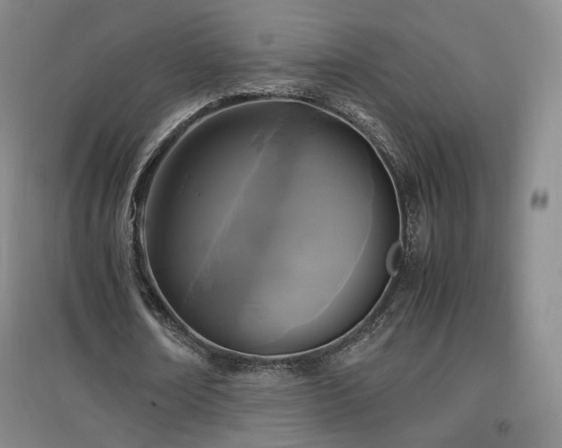 X0000097480674200802221353