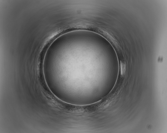X0000097480675200802221353