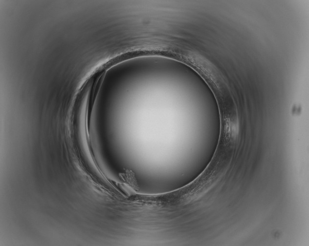 X0000097480676200802221353
