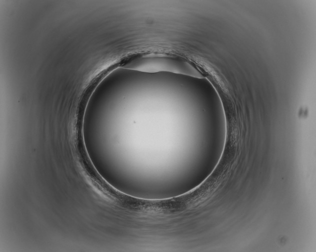 X0000097480677200802221353