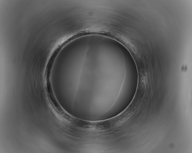 X0000097480678200802221353