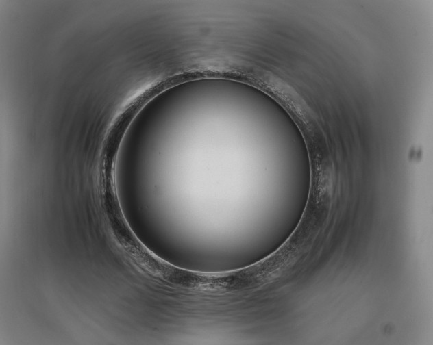 X0000097480680200802221353