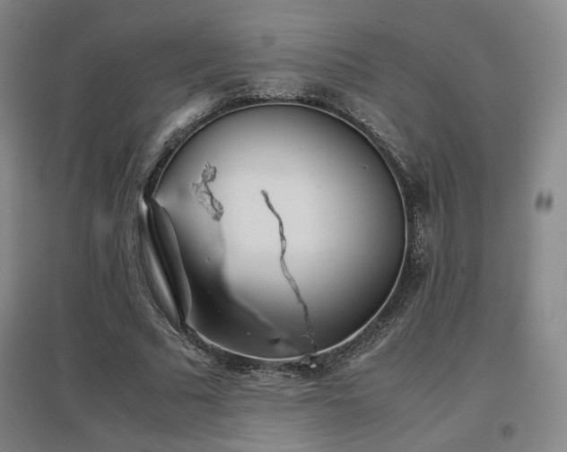 X0000097480681200802221353