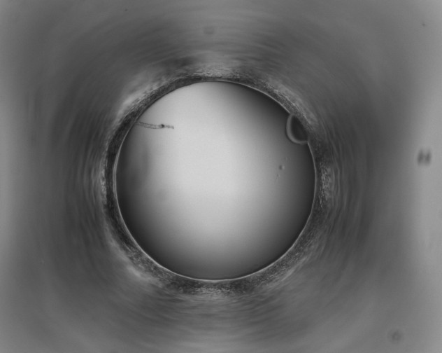 X0000097480682200802221353